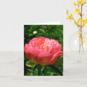 "赤面のピンクのシャクヤク" NOTECARD (PHOTOG) カード (黄色い花)