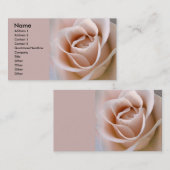 赤面のピンクのバラ 名刺 (正面/裏面)