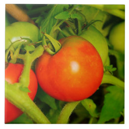 赤面の美しいの台所タイルかTrivet タイル