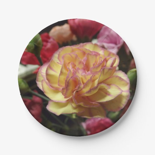 赤面の花びら ペーパープレート (正面)