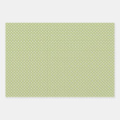 赤面エレガントバラコーラルピンクウォーターカラーフローラ ラッピングペーパーシート (正面2)