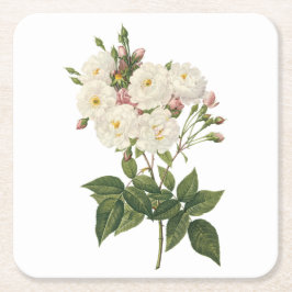 赤面ノワゼッテバラ（ローザノイセッティアナ）バイレドゥテ スクエアペーパーコースター