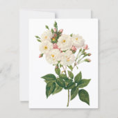 赤面ノワネットバラバイルドゥート招待状 (正面)