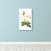 赤面ノワネットバラ(Rosa noisettiana)バイレッドヴェー キャンバスプリント (インサイチュ (ウッドフロア))