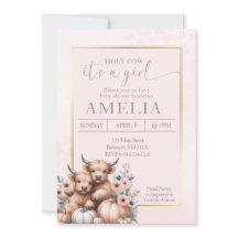 赤面ハイランド牛その女の子カボチャ