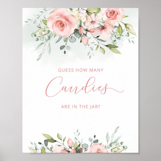 赤面ピンクのフローラはキャンディーの数を推測する ポスター (正面)