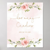 赤面ピンクのフローラ金ゴールドはキャンディーの数を推測 ポスター (正面)