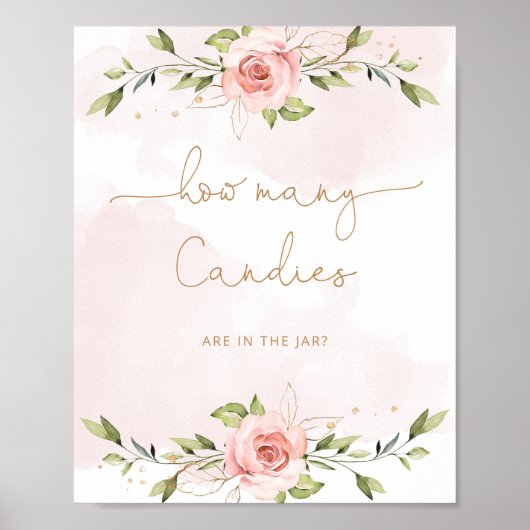 赤面ピンクのフローラ金ゴールドはキャンディーの数を推測 ポスター (正面)