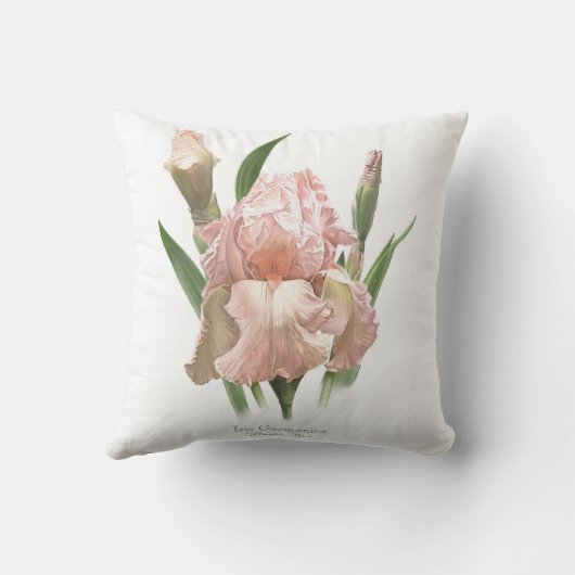 赤面ピンクアイリス クッション (裏面)