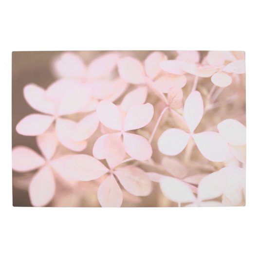 赤面ピンクアジサイ花花びら メタルプリント (正面)