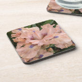 赤面ピンクヒゲ虹彩フローラ コースター (左側)