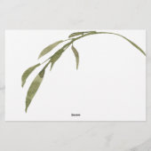 赤面ピンクローズアドバイスウェルウィーズ結婚ズ 便箋 (裏面)