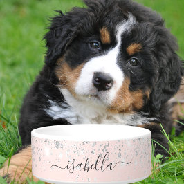 赤面ピンクローズ金ゴールド銀グリッターダスト名 ボウル