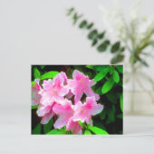 赤面ピンク ポストカード (スタンド正面)