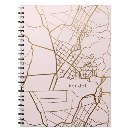 赤面ピンク(金ゴールドルックマップと名前) ノートブック (正面)