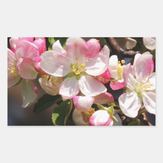 赤面フラワーイースタースティッカー 長方形シール (正面)