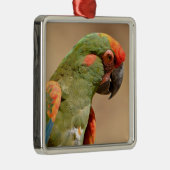 赤面マカオポートレート メタルオーナメント (右)