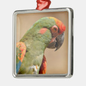 赤面マカオポートレート メタルオーナメント (左)