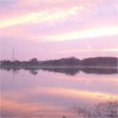 赤面リフレクション：デュスクでのセレニティ シール (正面)