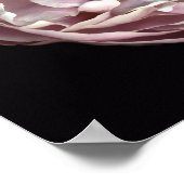 赤面牡丹ポスター ポスター (角)