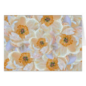 赤面牡丹札 (正面横)