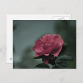 赤面王室のはがき ポストカード (正面/裏面)