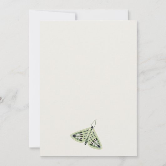 赤面砂漠レトロバタフライガーデンベビーシャワー 招待状 (裏面)