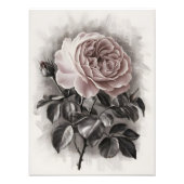 赤面開花 フォトプリント            (正面)