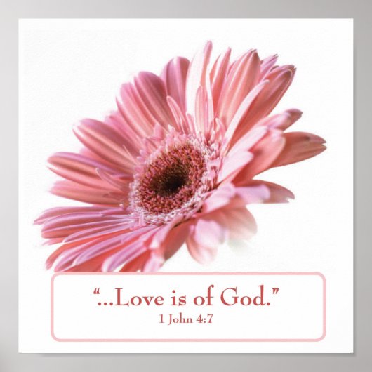 「赤面」デイジーポスター ポスター (正面)