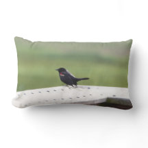 赤飛んだクロドリ