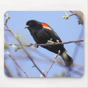 赤飛んだクロドリ マウスパッド