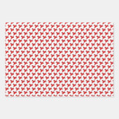 赤飛行機誕生日包装紙シート ラッピングペーパーシート (正面3)