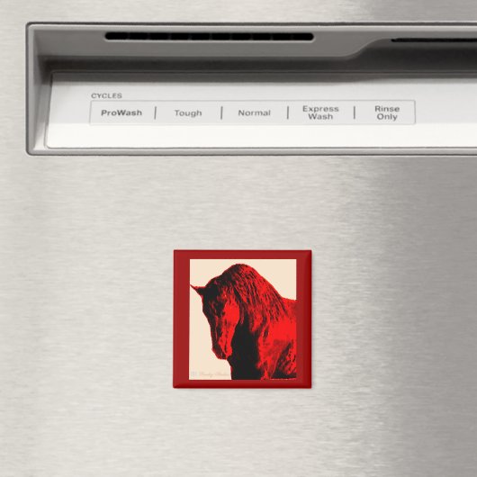 赤馬磁石 マグネット (インサイチュ (食洗機))