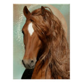 赤馬 – ポスター (正面)