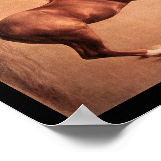 赤馬 ポスター (角)