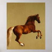 赤馬 ポスター (正面)