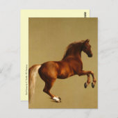 赤馬 ポストカード (正面/裏面)