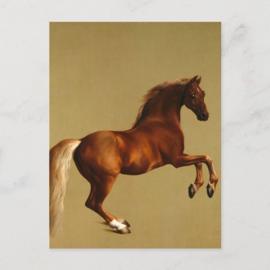 赤馬 ポストカード (正面)