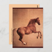 赤馬 ポストカード (正面/裏面)