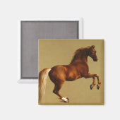 赤馬 マグネット (正面/裏面)