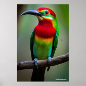 赤髭のミツバチを食べる人 ポスター (正面)