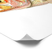 赤魚アンティーク魚プリントno.6ビーチデコール ポスター (角)