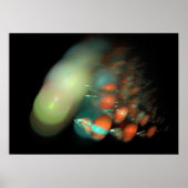 赤魚 ポスター (正面)