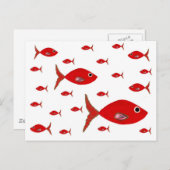 赤魚 ポストカード (正面/裏面)