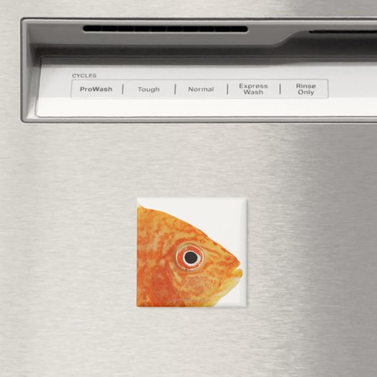 赤魚 マグネット (インサイチュ (食洗機))