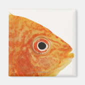 赤魚 マグネット (正面)