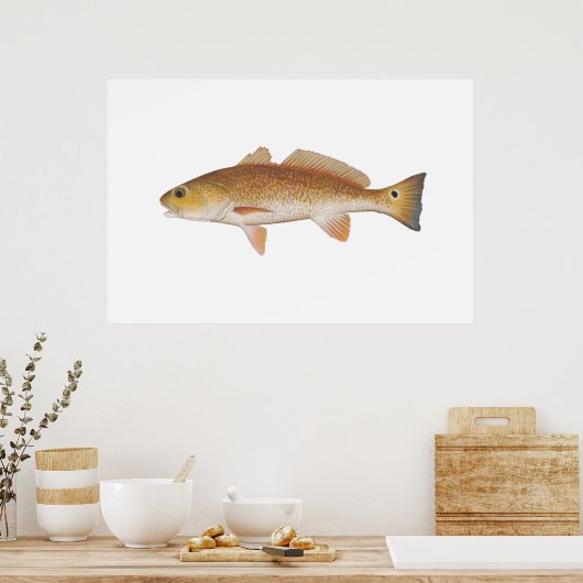 赤魚 – 赤太鼓 ポスター (キッチン)