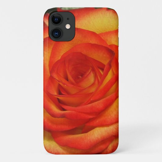 赤鮮やかと桃のバラのマクロフォト Case-Mate iPhoneケース (裏面)