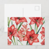 赤鮮やか色のアマリリス水彩模様 ポストカード (正面/裏面)