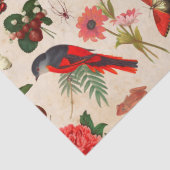 赤鳥蝶とキノコの分離 薄葉紙 (詳細)